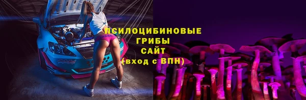 PSILOCYBIN Богородск