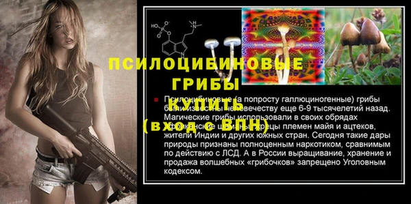 синтетический гашиш Богородицк